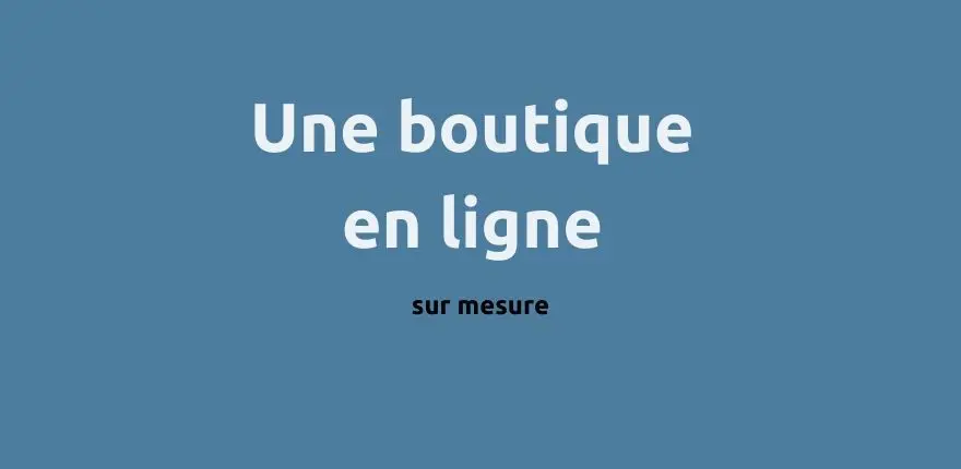 Une boutique en ligne sur mesure pour une maitrise totale